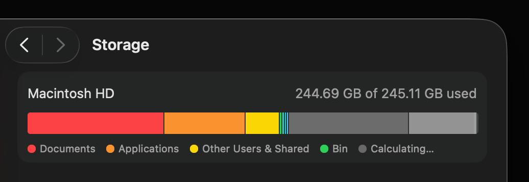 Mac Storage Settings showing excessive System Data usage